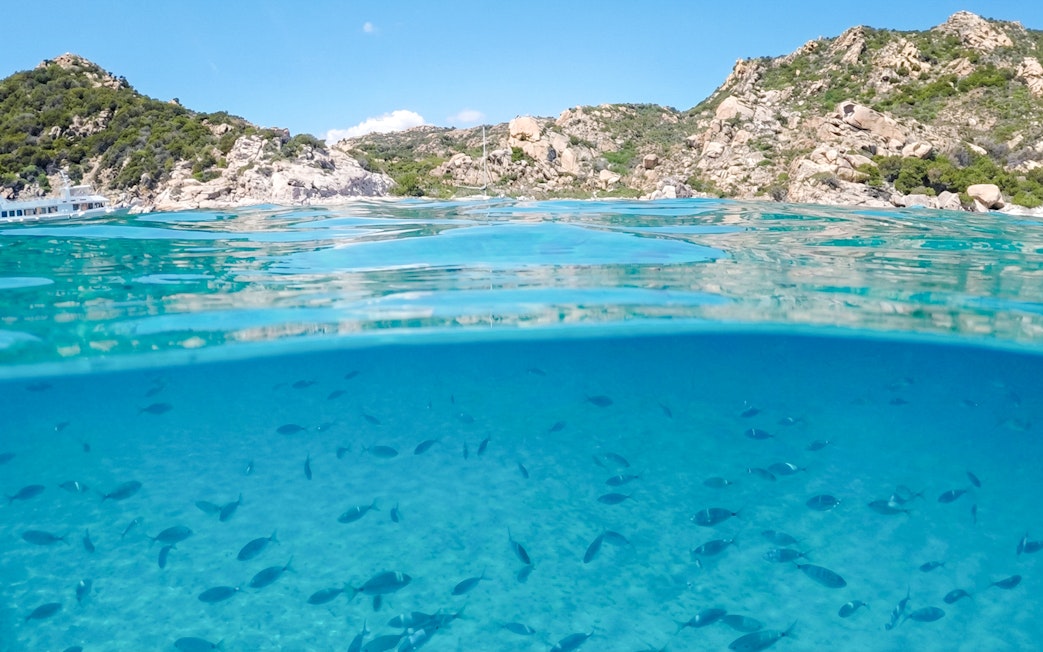 Clear waters with fish near rocky islands in La Maddalena Archipelago.