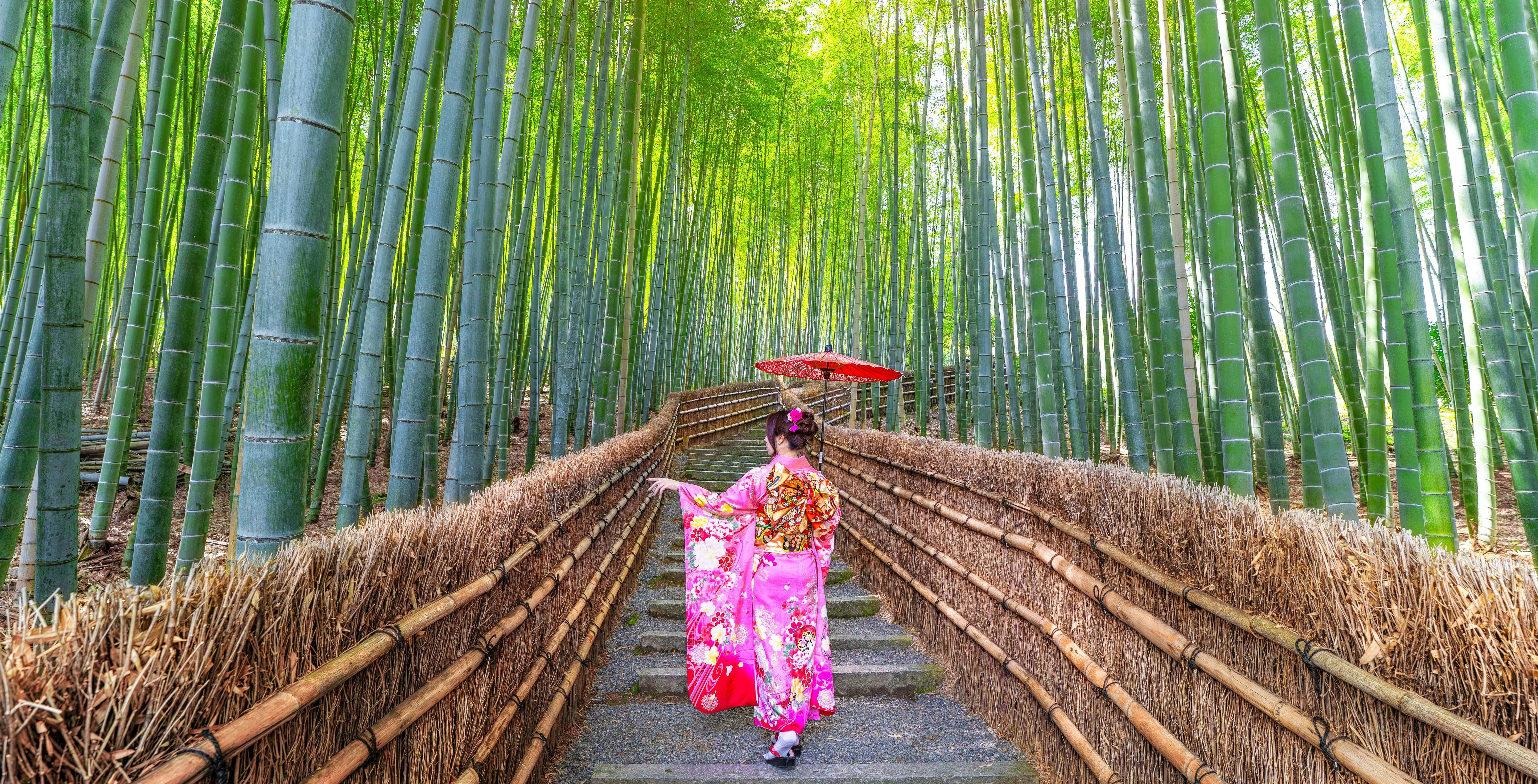 Person in traditional kimono walking through Arashiyama Bamboo Grove, Kyoto, Japan.