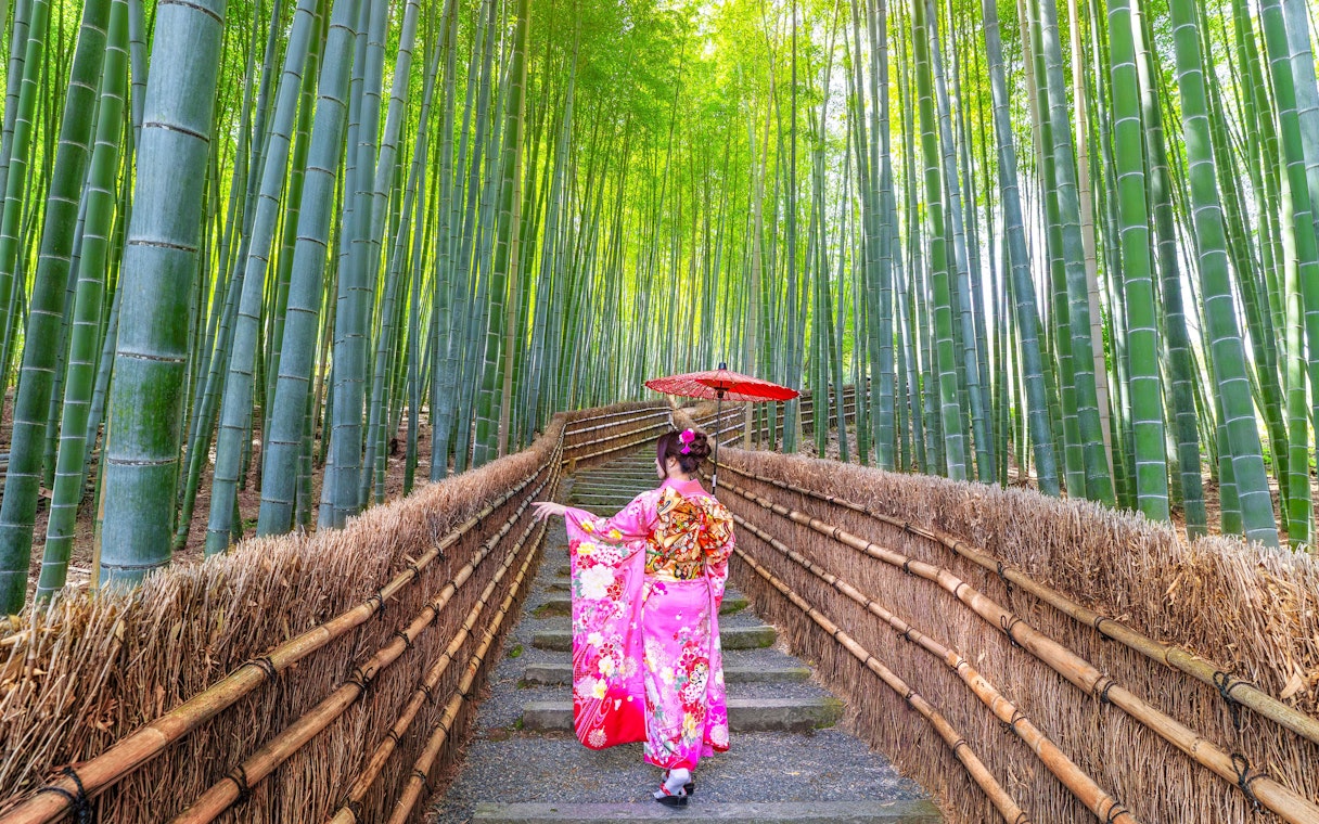Person in traditional kimono walking through Arashiyama Bamboo Grove, Kyoto, Japan.