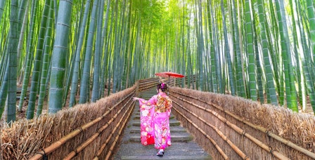 Kyoto Guided Tour: Bamboo Grove, Shrines & Nara Park from Osaka