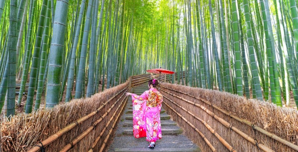Kyoto Guided Tour: Bamboo Grove, Shrines & Nara Park from Osaka