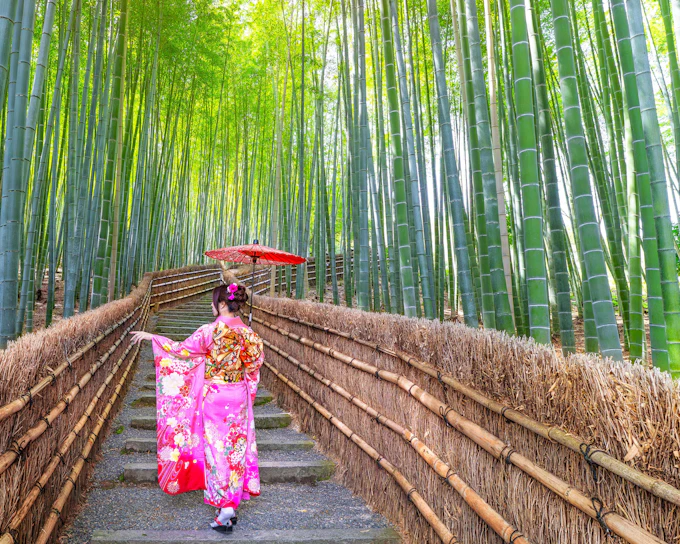 Kyoto Guided Tour: Bamboo Grove, Shrines & Nara Park from Osaka