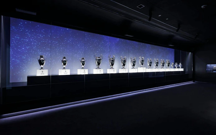 Santiago Bernabéu Stadium Private Guided Tour