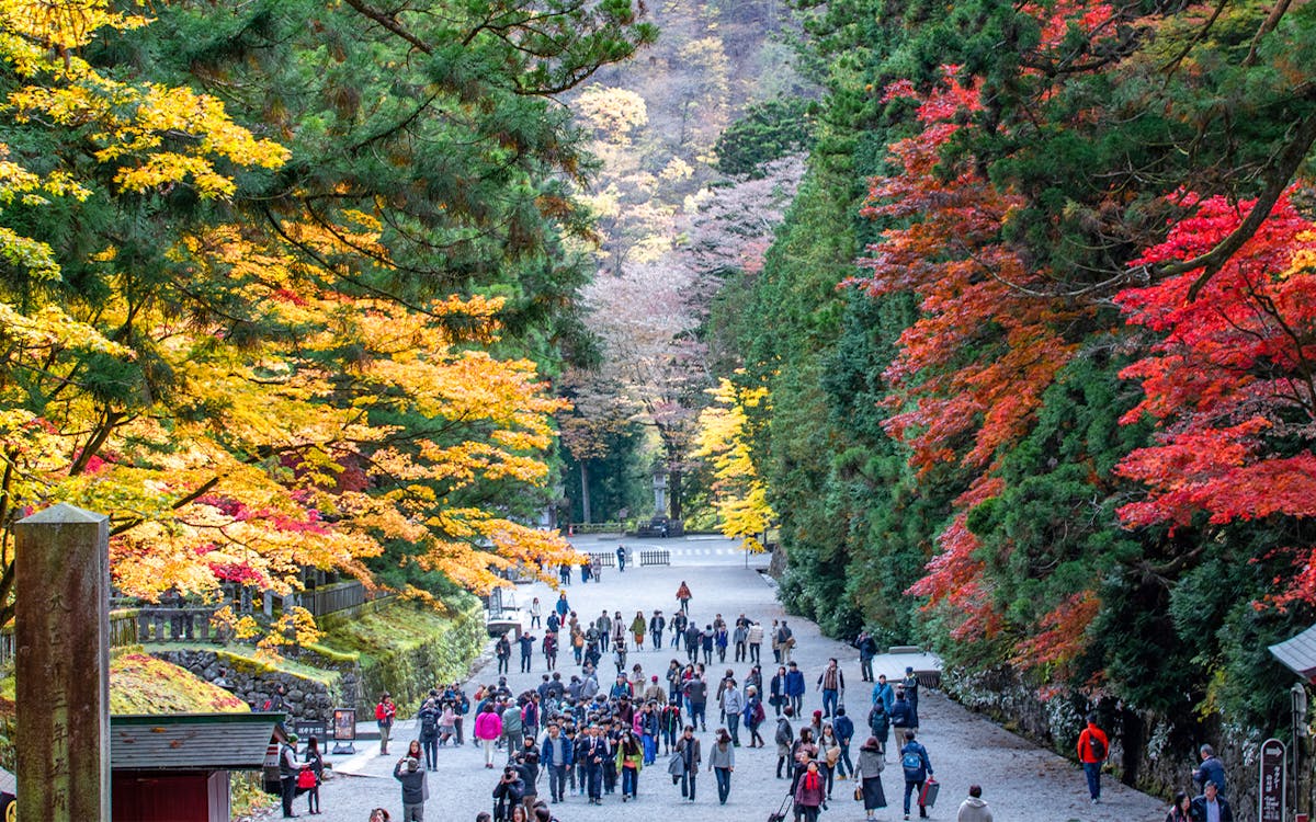 nikko toshogu shrine and kegon waterfall tour from tokyo-2 nikko toshogu shrine and kegon waterfall tour from tokyo-2