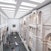 Museo dell'Opera di Santa Croce