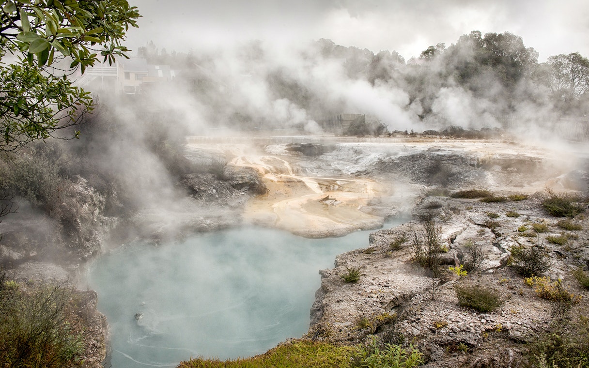 Geothermal steam rising from hot springs at Whakarewarewa Living Maori Village.