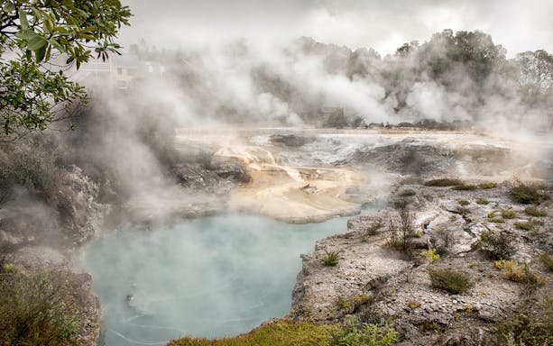 Geothermal steam rising from hot springs at Whakarewarewa Living Maori Village.