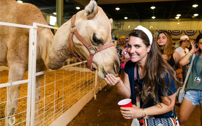 Feeding a camel at the State Fair of Texas petting zoo.