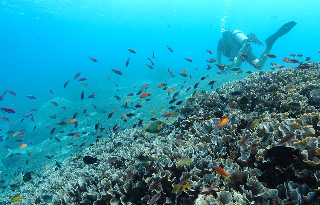 SD Point Nusa Penida coastline with clear blue waters and rocky cliffs.