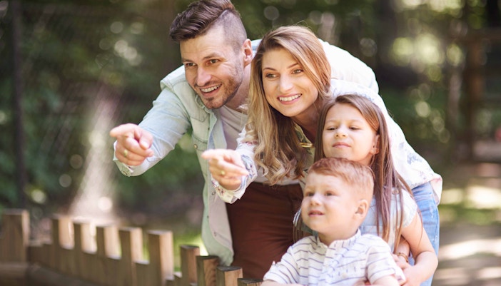 Giraffe feeding at Bronx Zoo with visitors observing.