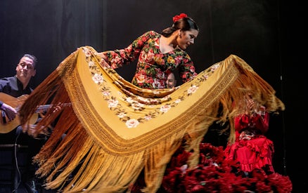 Flamenco dancer performing with shawl at Teatro Flamenco Madrid.