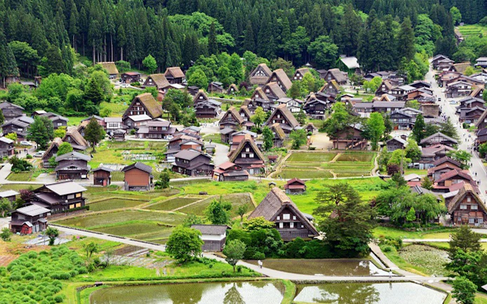 Traditional gassho-style houses in Shirakawa-go village, surrounded by lush greenery, on a day tour from Kanazawa.