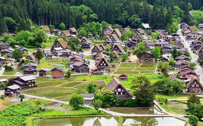 Traditional gassho-style houses in Shirakawa-go village, surrounded by lush greenery, on a day tour from Kanazawa.