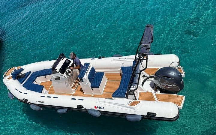 excursie premium la dolphin house cu barca rapidă privată și snorkeling - hurghada-1