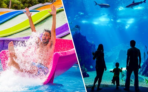 Combo (5 % Rabatt): Skip-the-Line Tickets to Illa Fantasia Water Park + Barcelona Aquarium