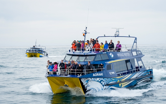 Whale watching boat with tourists on Kaikoura day trip from Christchurch.