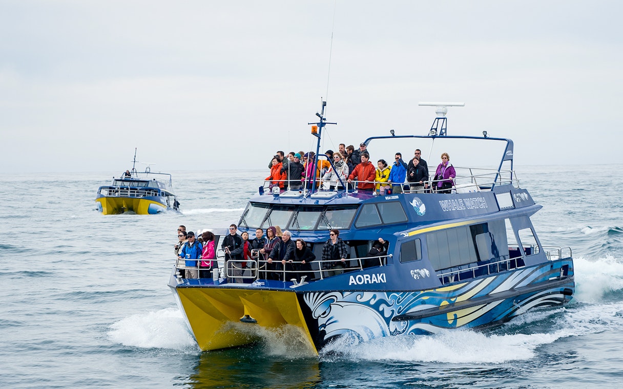 Whale watching boat with tourists on Kaikoura day trip from Christchurch.