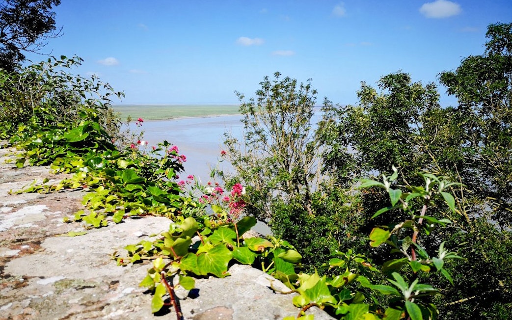 View of lush greenery and distant tidal flats near Mont-Saint-Michel, France.