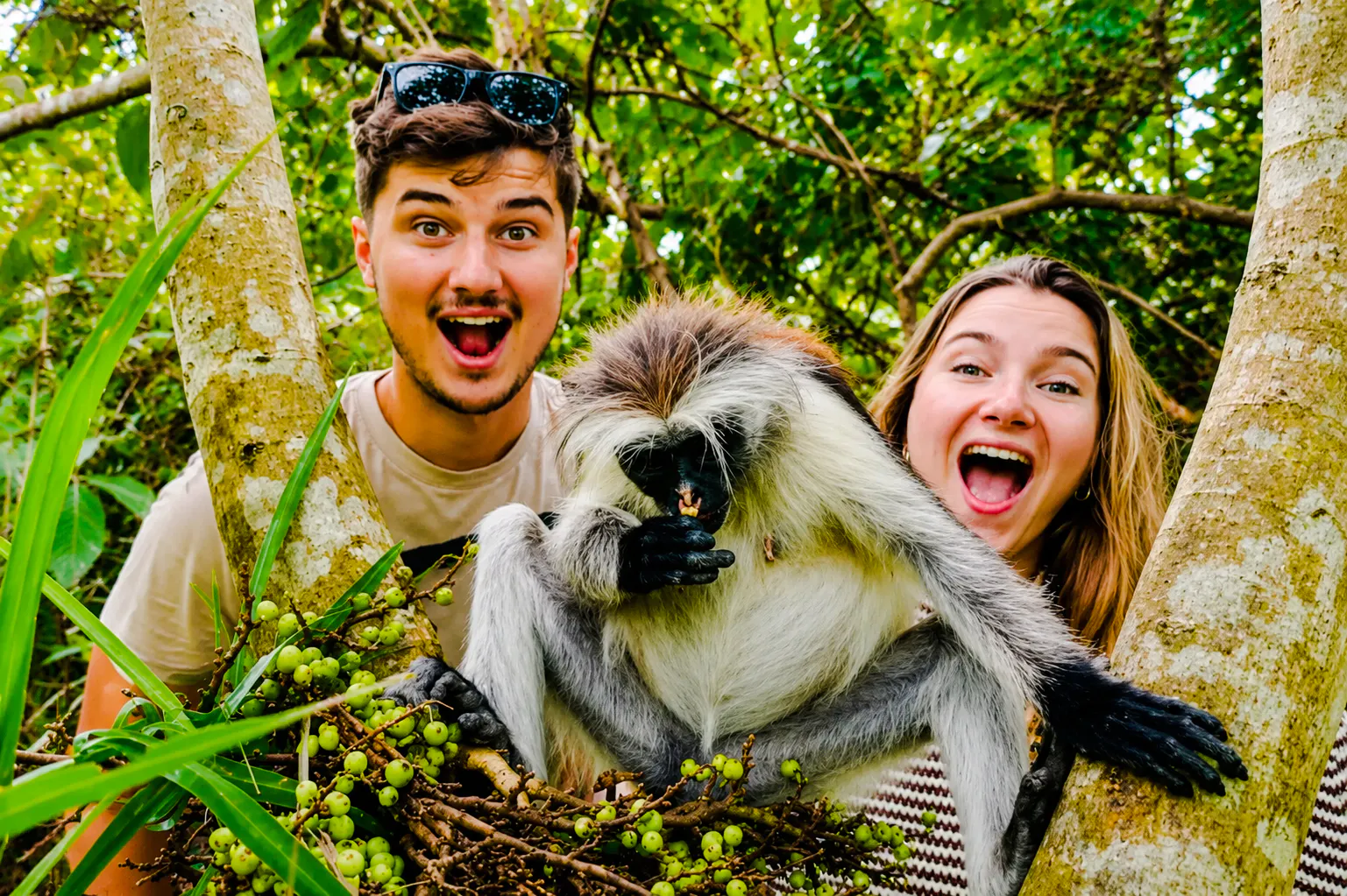 zanzibar : visite privée de la forêt de jozani et de la grotte de salaam, avec navettes de/vers l'hôtel et billets d'entrée-1