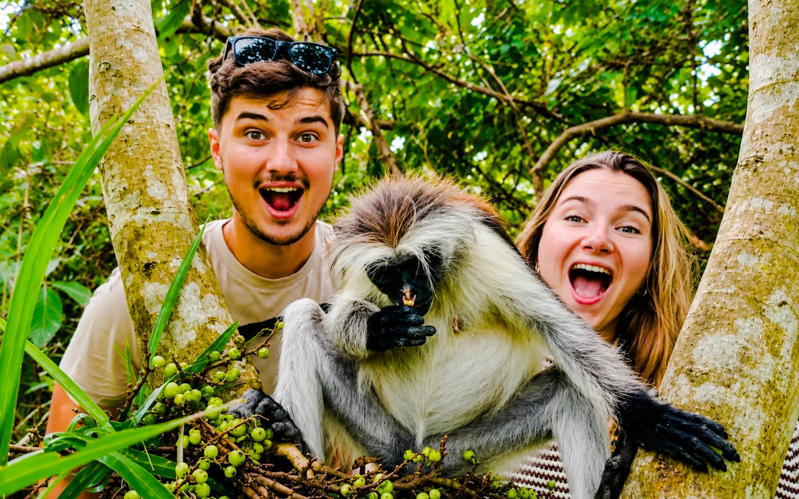Zanzibar: Jozani Forest and Salaam Cave Private Tour with Hotel Transfers and Entry Tickets