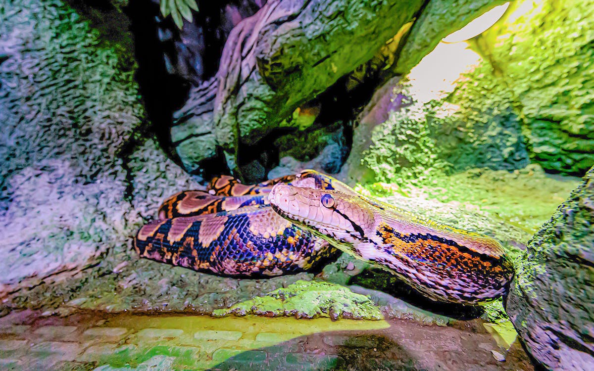 combo deal: national aquarium + adrenark adventure tickets-6 combo deal: national aquarium + adrenark adventure tickets-6