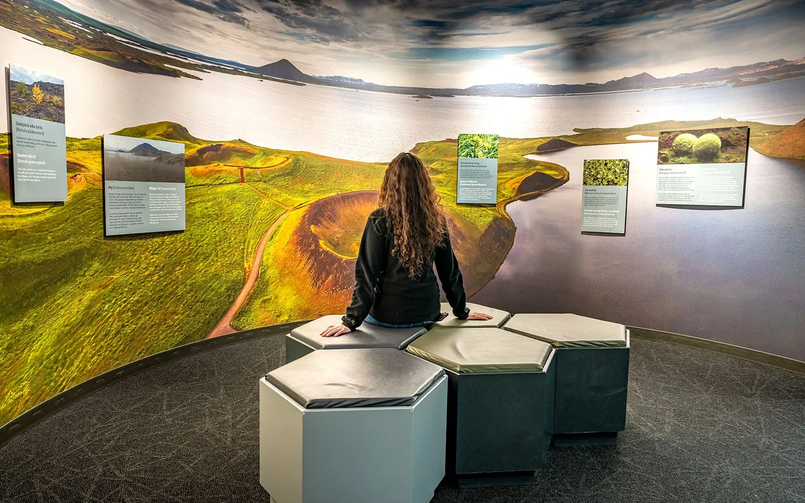 Icelandic Showcase at Perlan Museum