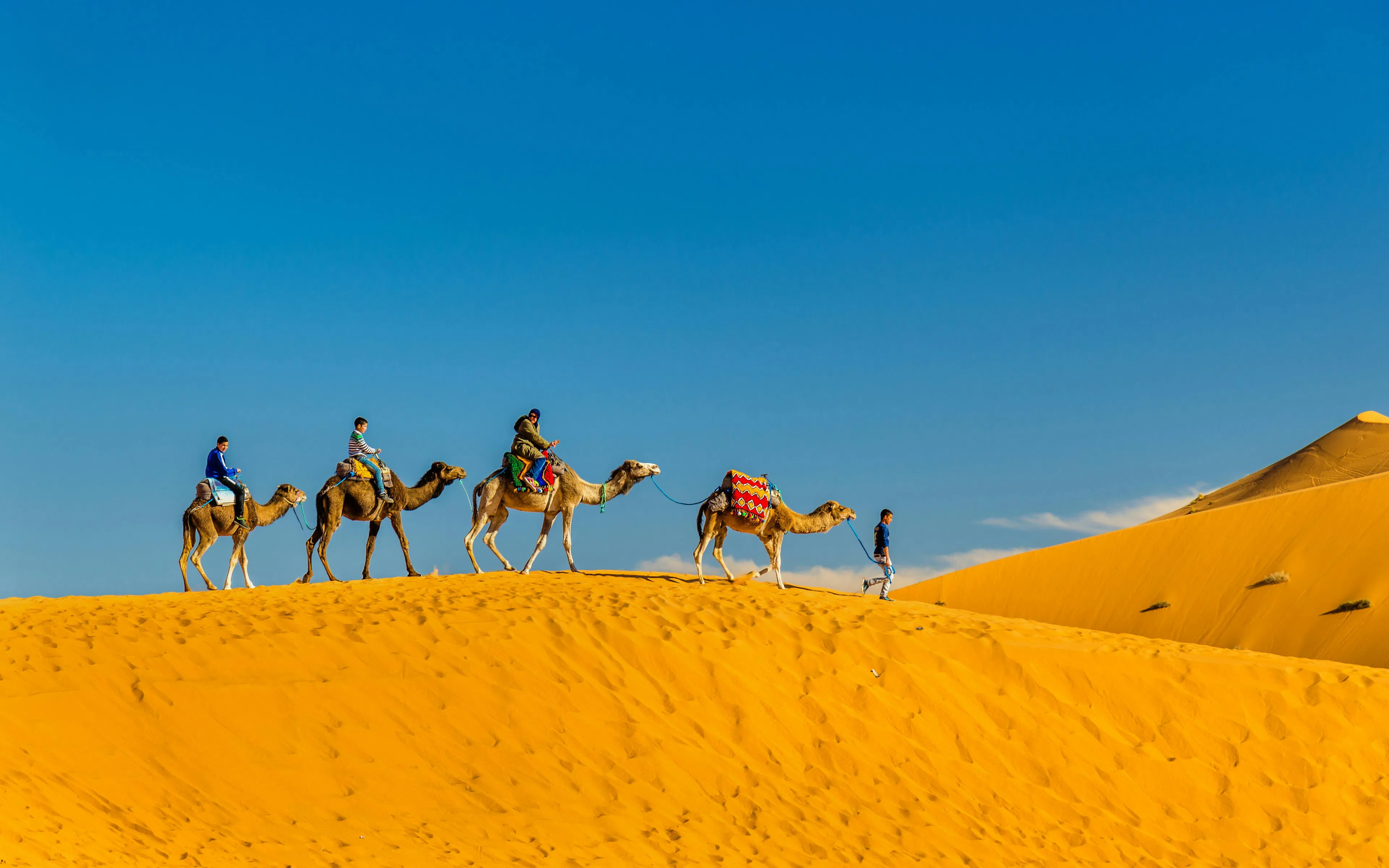 Tourists riding camels across sand dunes at Erg Chebbi, Morocco.
