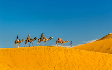 Tourists riding camels across sand dunes at Erg Chebbi, Morocco.