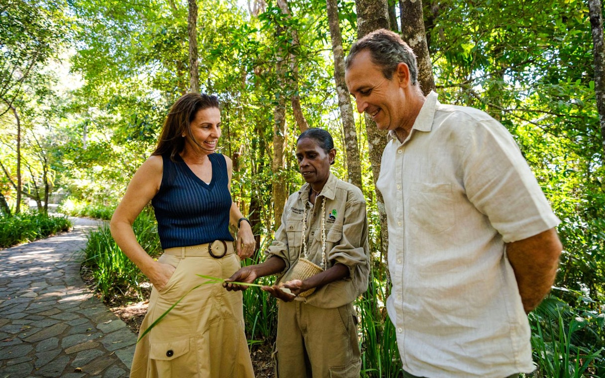 waterfall, wetlands and skyrail-2