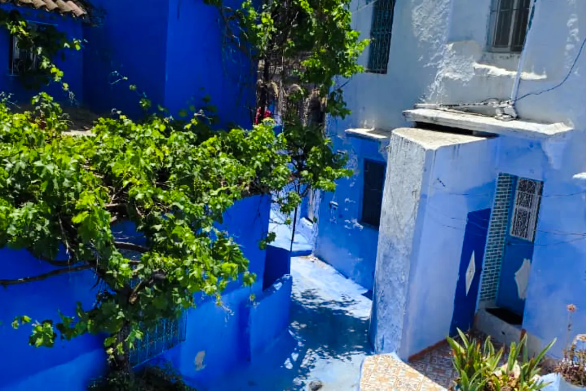 chefchaouen private day trip from casablanca-3