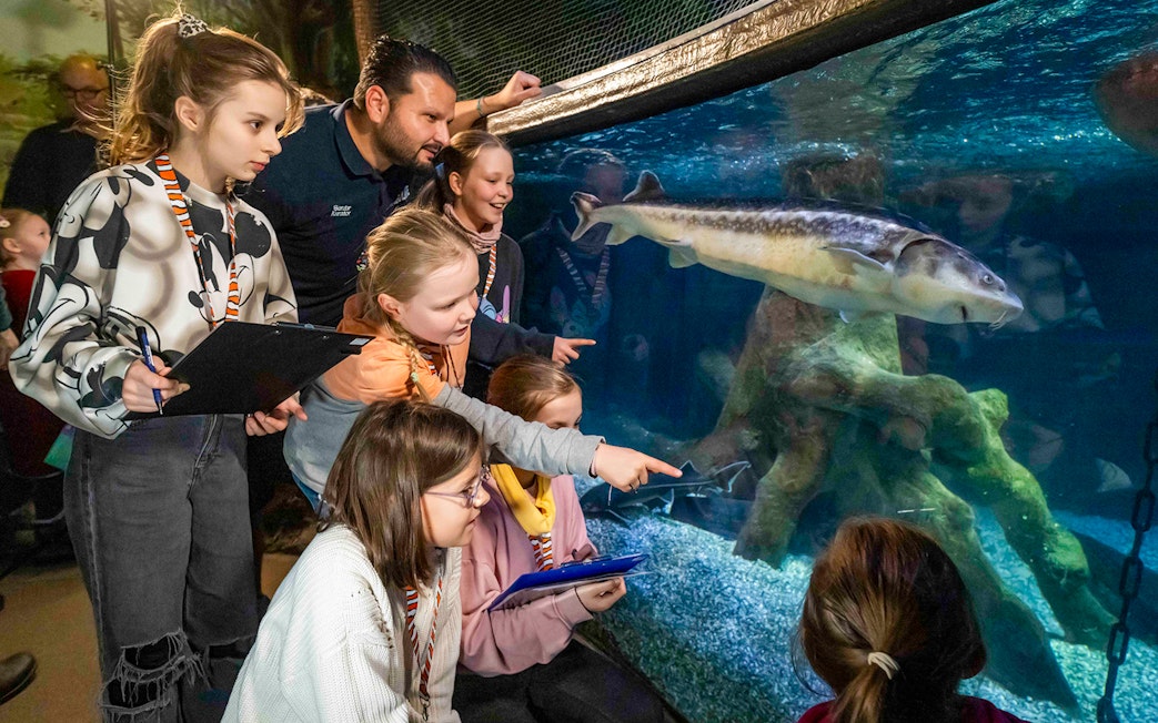Children observing fish in the Tropical Ocean zone at SEA LIFE Munich.