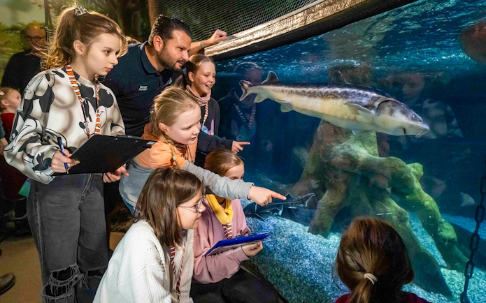 Children observing fish in the Tropical Ocean zone at SEA LIFE Munich.