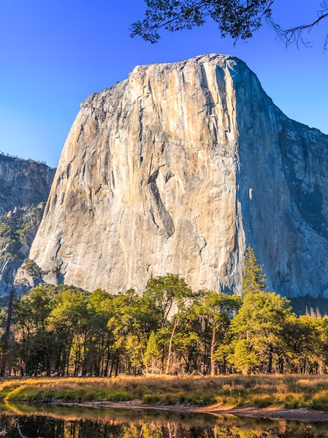 El Capitan rock formation in Yosemite National Park, California, with trees and clear sky.