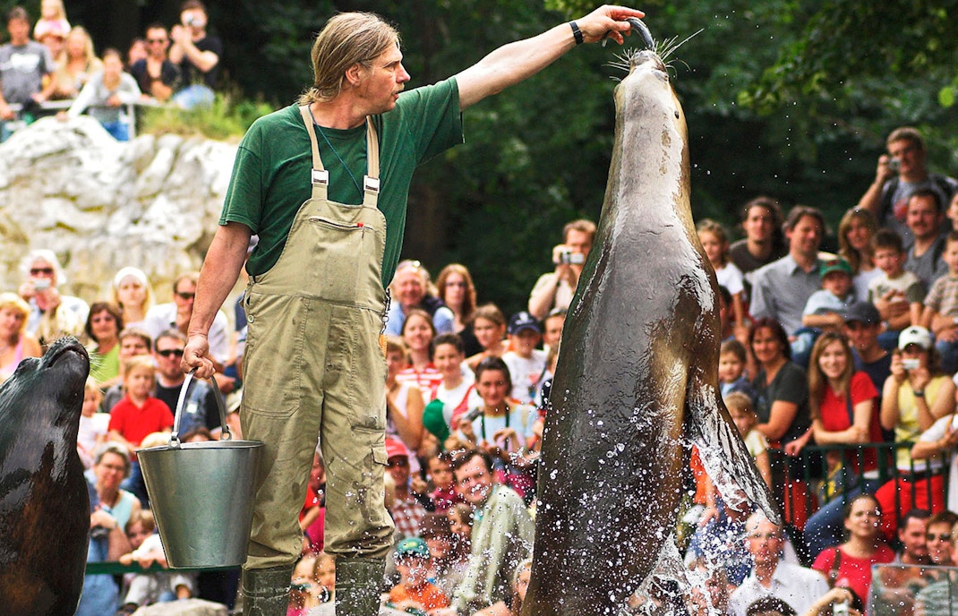 Peak season vs off-season