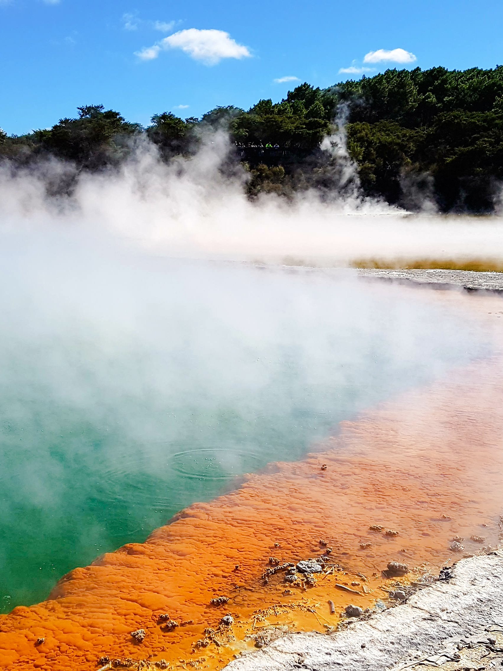 Waiotapu Thermal Wonderland Tickets