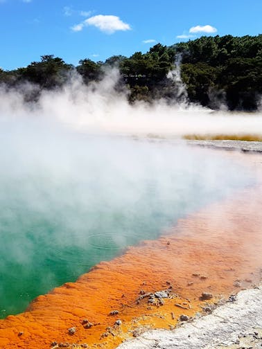 Waiotapu Thermal Wonderland Tickets