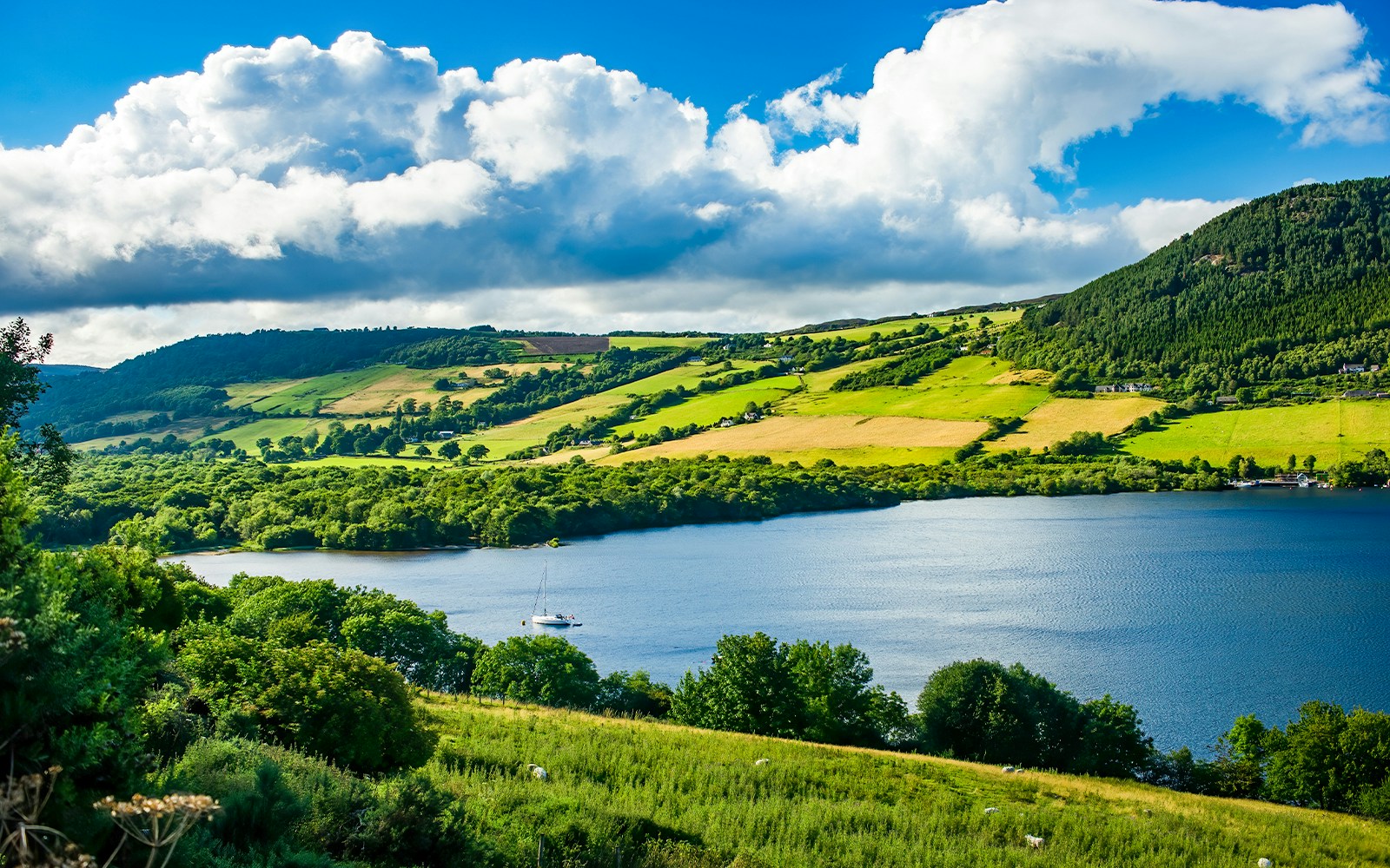 Loch Ness with sailboat, surrounded by lush hills and fields, view from Glencoe and the Highlands.