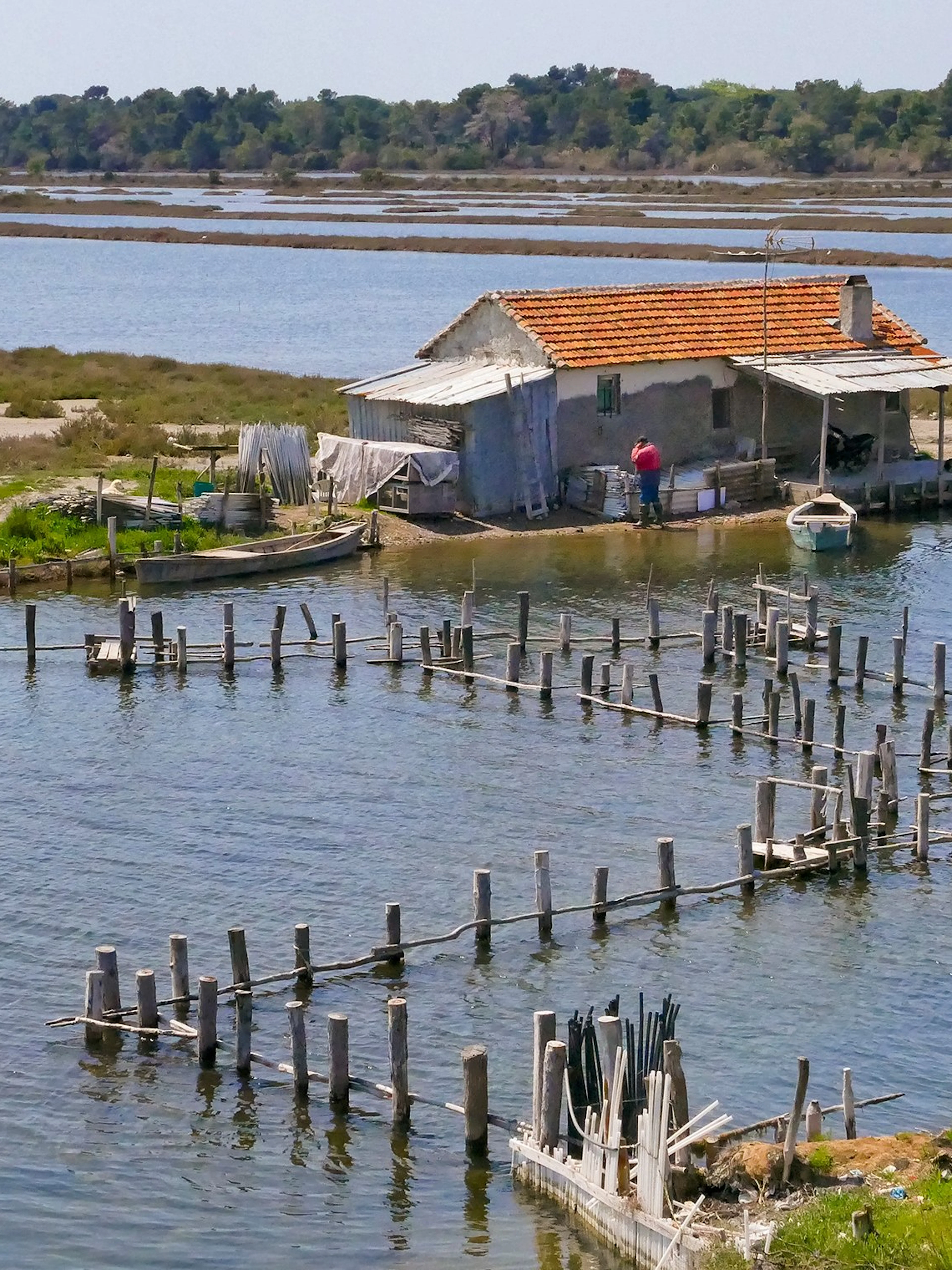 Lagoon with fishing hut and wooden stakes at Divjake-Karavasta National Park, Albania.