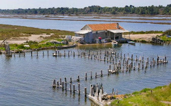 Lagoon with fishing hut and wooden stakes at Divjake-Karavasta National Park, Albania.