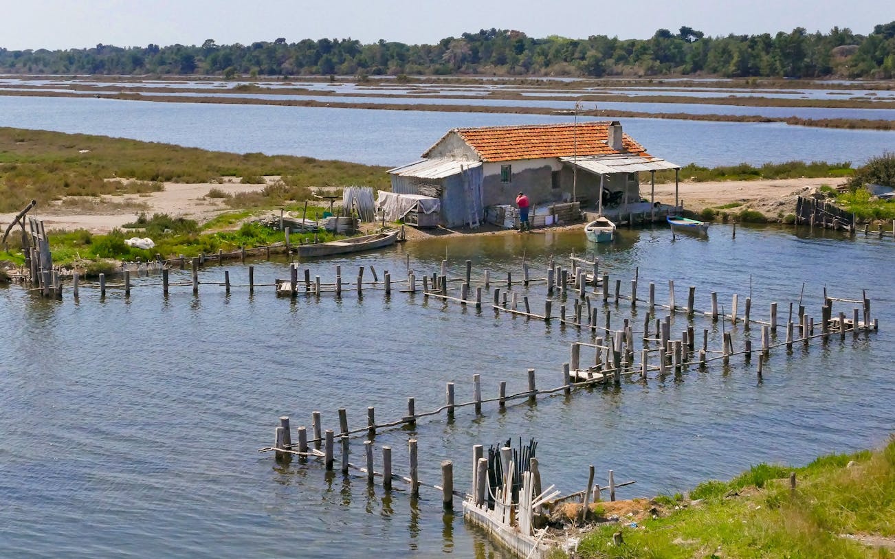 Lagoon with fishing hut and wooden stakes at Divjake-Karavasta National Park, Albania.