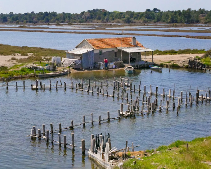 From Tirana/Durres: Karavasta Lagoon 4x4 Off-Road Day Trip