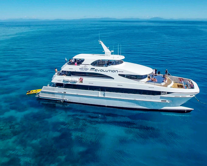 Cairns to Great Barrier Reef Snorkel Cruise with Lunch