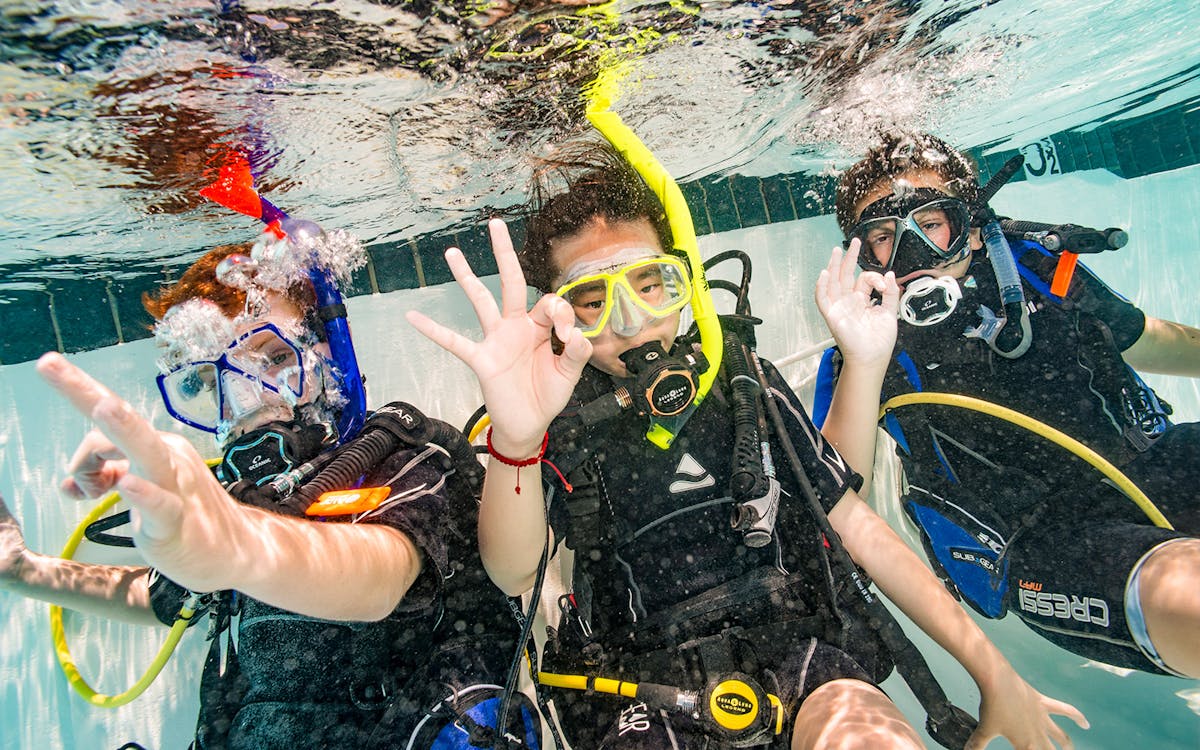 padi discover scuba diving at palm jumeirah dubai-7 padi discover scuba diving at palm jumeirah dubai-7
