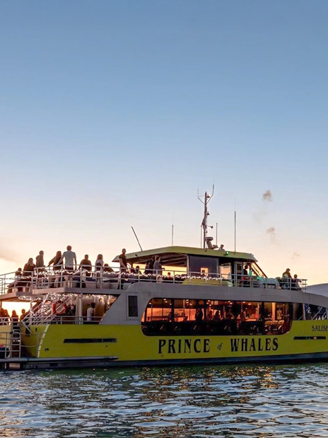 Whale watching boat "Prince of Whales" on the water at sunset with passengers on deck.