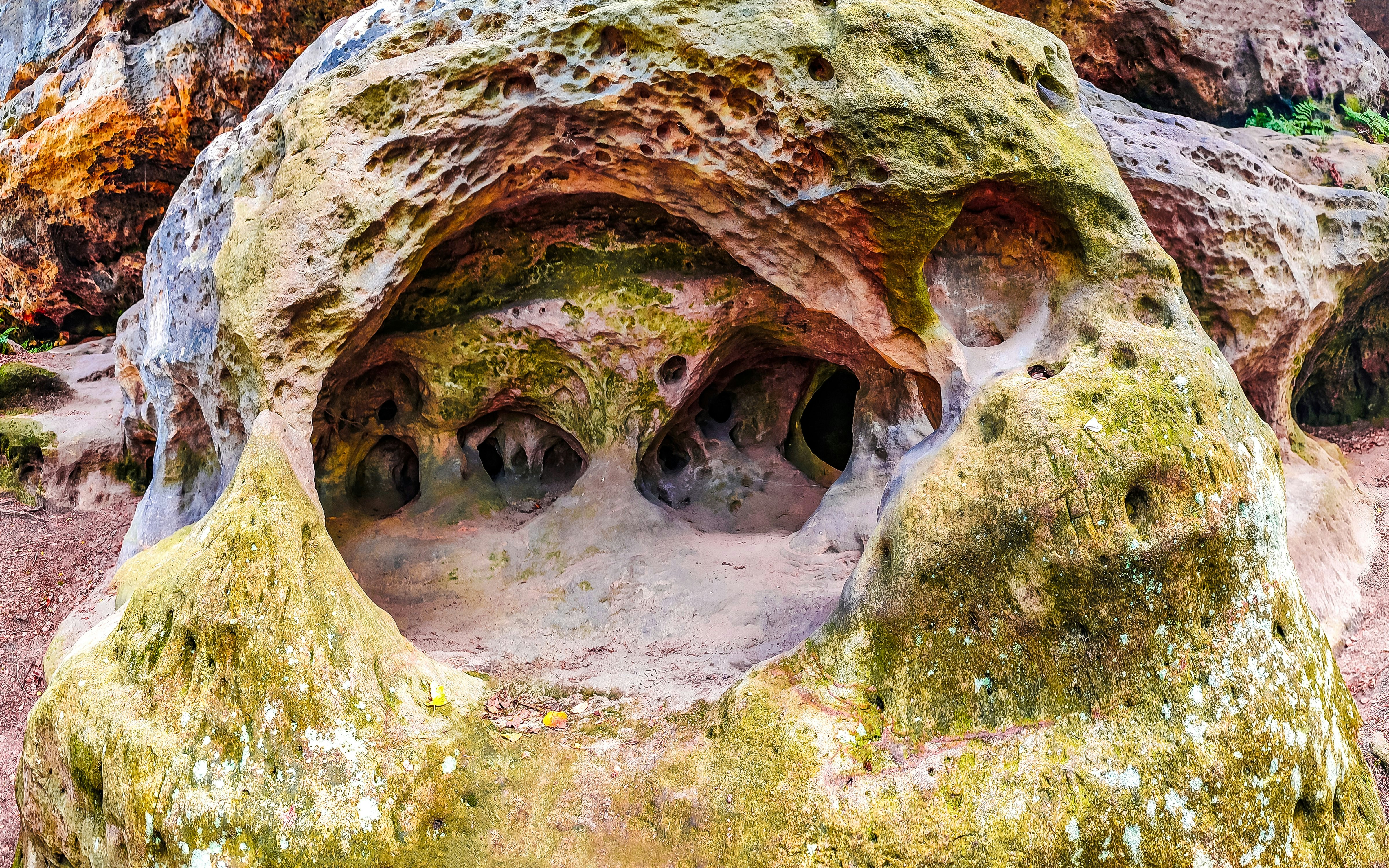 Sandstone rock formations and caves in Saxon Switzerland National Park, Saxony, Germany.