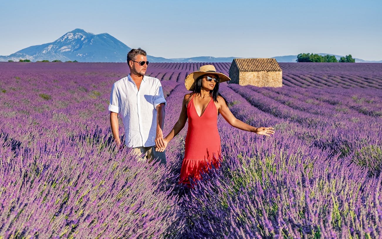 Couple walking through a lavender field in Provence with a mountain and stone house in the background.