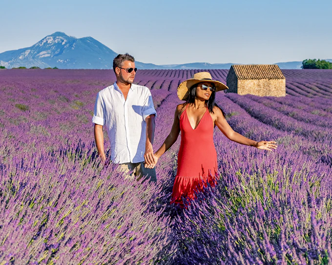 From Aix-En-Provence: Lavender Fields Tour