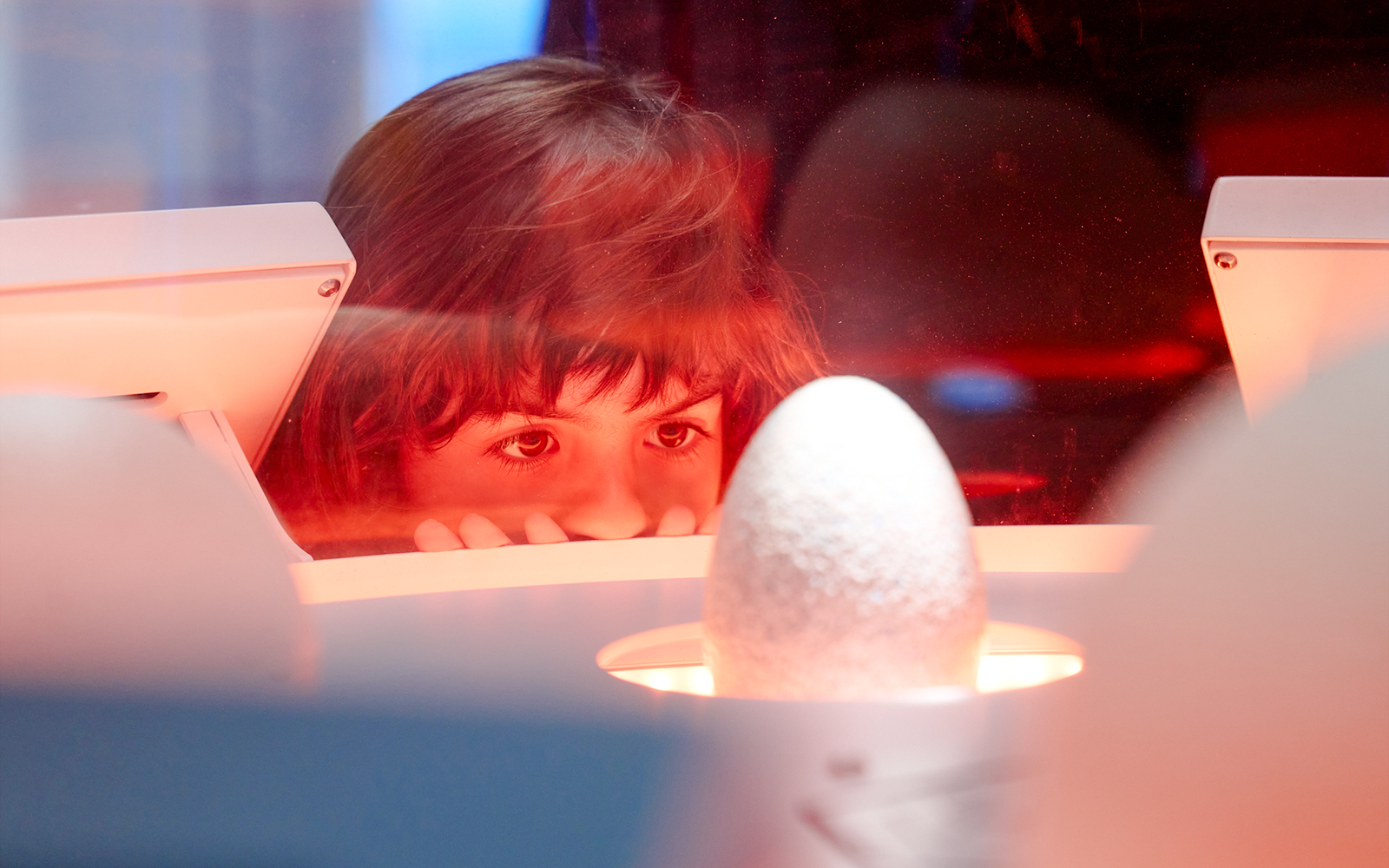 jurassic world: the experience-7