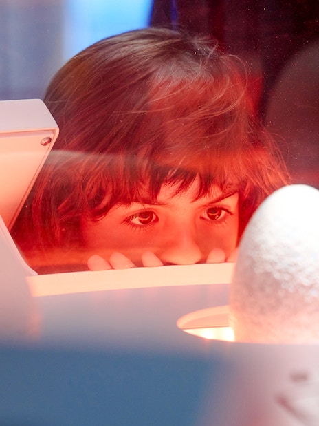 jurassic world: the experience-7