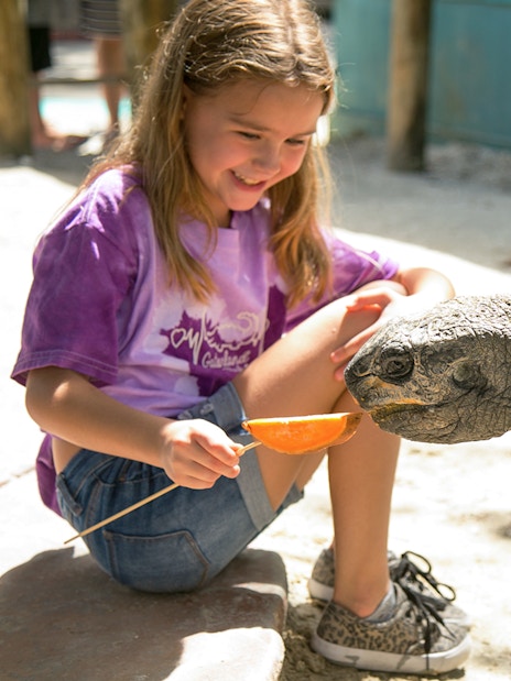 Girl feeding a tortoise at Gatorland, Orlando.
